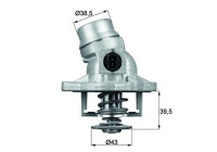 Thermostat, coolant