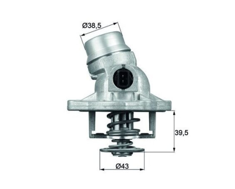 Thermostat, coolant