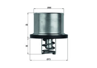 Thermostat, coolant
