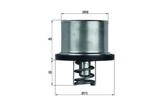 Thermostat, coolant
