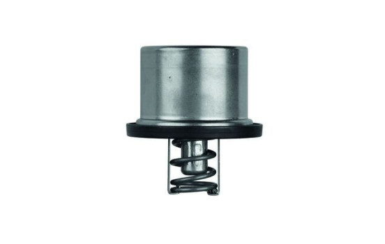 Thermostat, coolant, Image 2