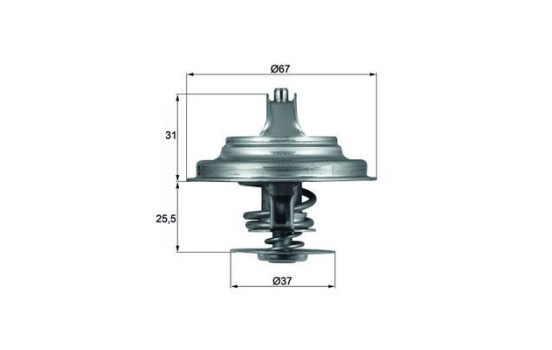 Thermostat, coolant