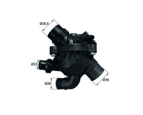 Thermostat, coolant