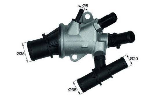 Thermostat, coolant