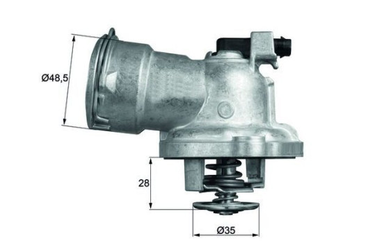 Thermostat, coolant