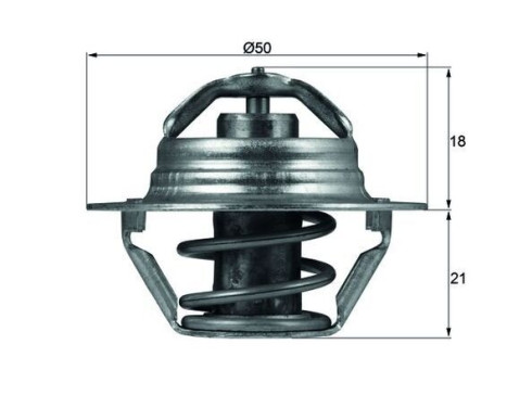 Thermostat, coolant