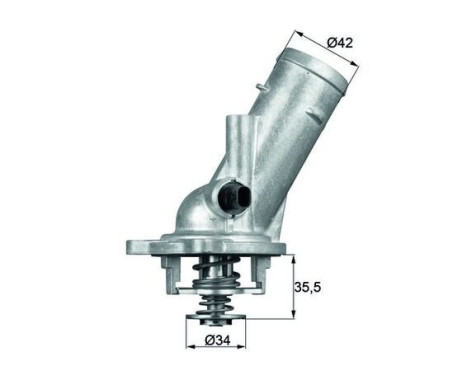 Thermostat, coolant