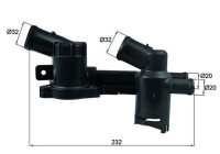 Thermostat, coolant