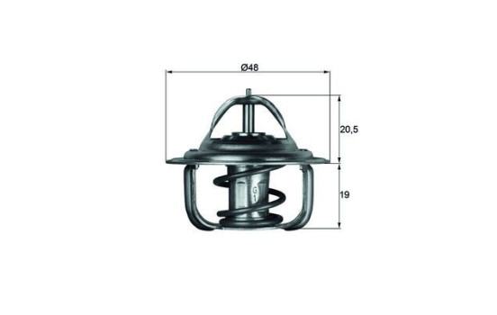 Thermostat, coolant