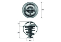 Thermostat, coolant