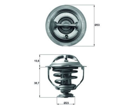 Thermostat, coolant