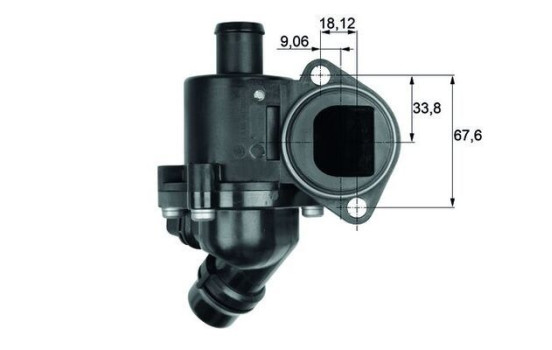 Thermostat, coolant