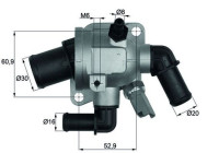 Thermostat, coolant