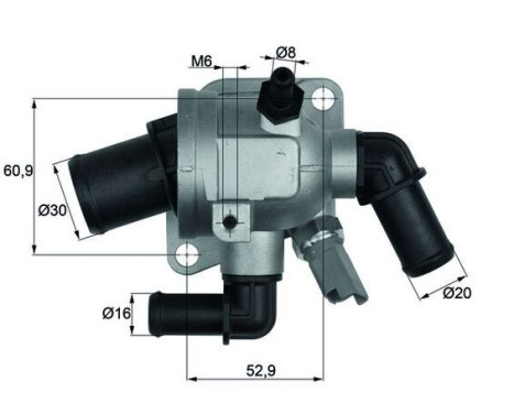 Thermostat, coolant