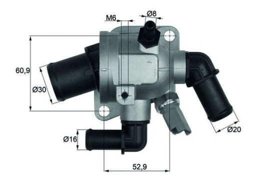 Thermostat, coolant