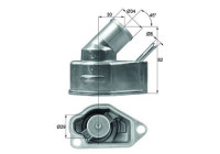 Thermostat, coolant