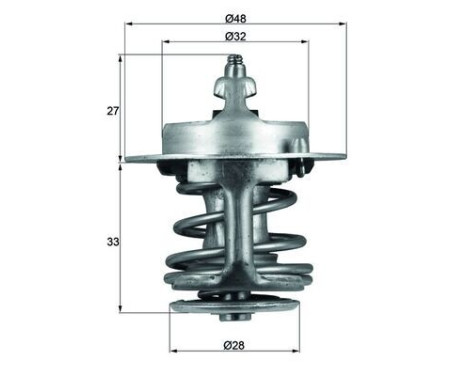 Thermostat, coolant