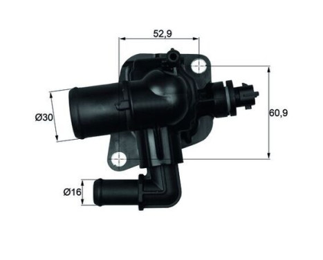 Thermostat, coolant