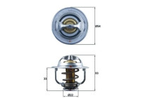 Thermostat, coolant
