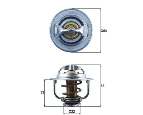 Thermostat, coolant