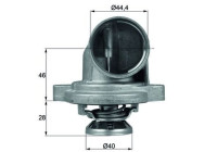 Thermostat, coolant