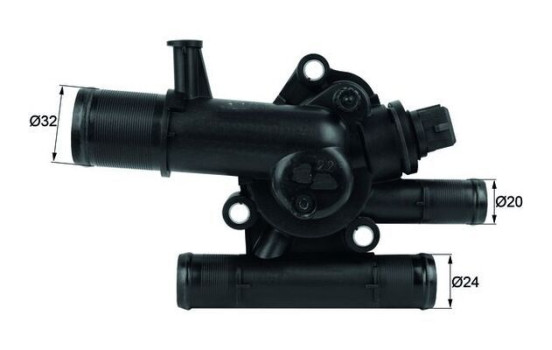 Thermostat, coolant