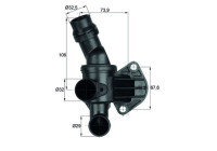 Thermostat, coolant