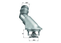 Thermostat, coolant