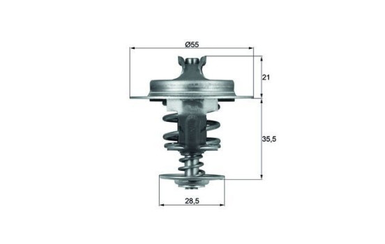 Thermostat, coolant