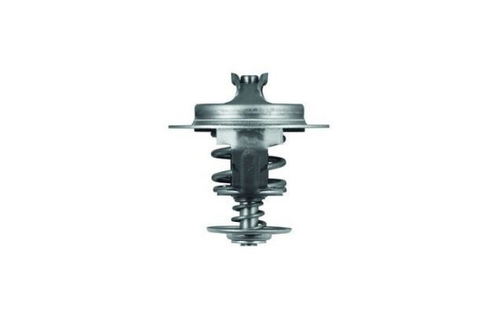 Thermostat, coolant, Image 2