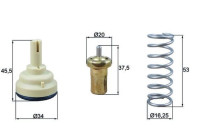 Thermostat, coolant