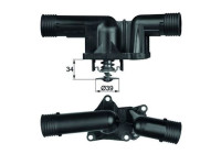 Thermostat, coolant