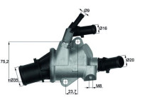 Thermostat, coolant