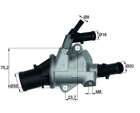Thermostat, coolant