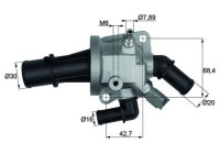 Thermostat, coolant