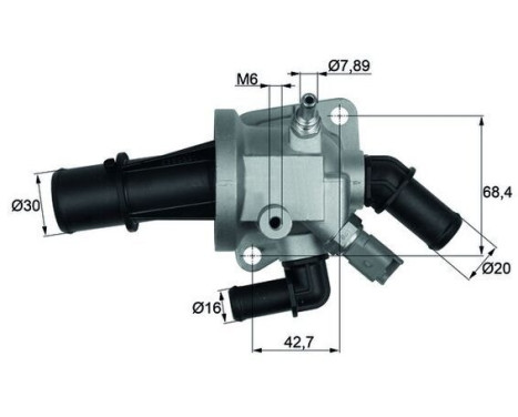 Thermostat, coolant