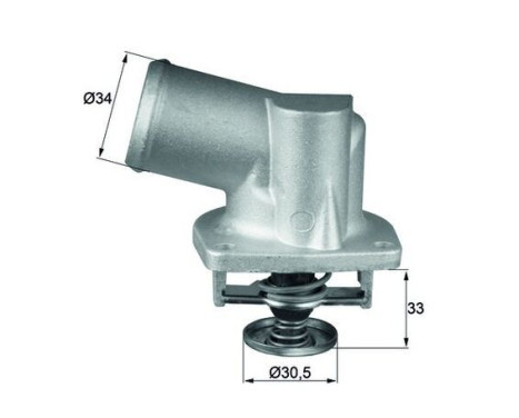 Thermostat, coolant
