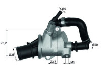 Thermostat, coolant