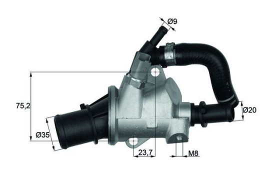 Thermostat, coolant