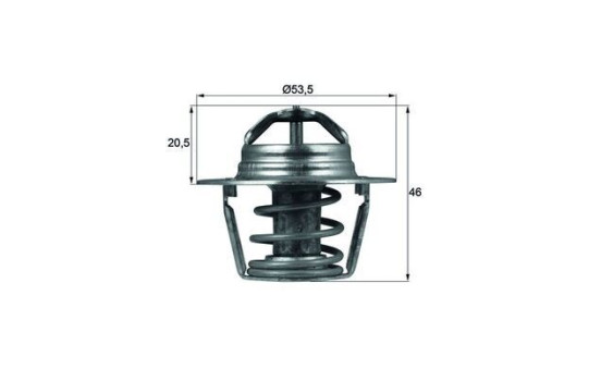 Thermostat, coolant
