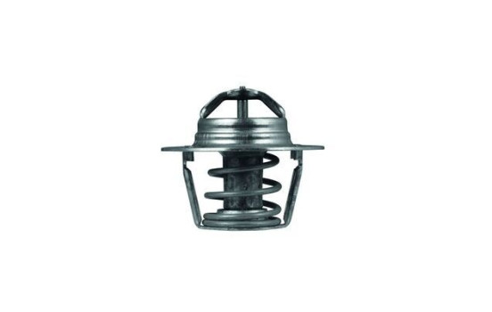 Thermostat, coolant, Image 2