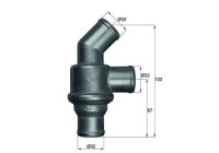 Thermostat, coolant