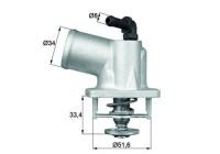 Thermostat, coolant