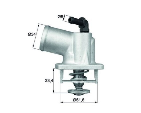 Thermostat, coolant