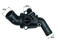 Thermostat, coolant