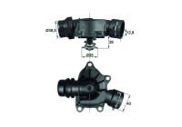 Thermostat, coolant