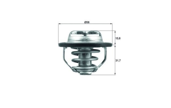 Thermostat, coolant