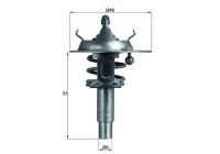 Thermostat, coolant