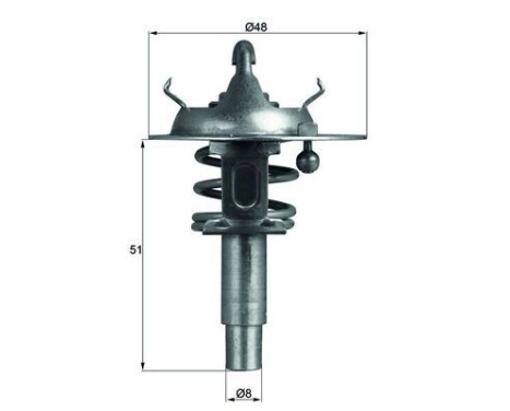 Thermostat, coolant