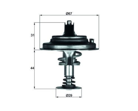 Thermostat, coolant